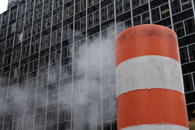 voluntariado restaurando un espacio público con planificación y coordinación