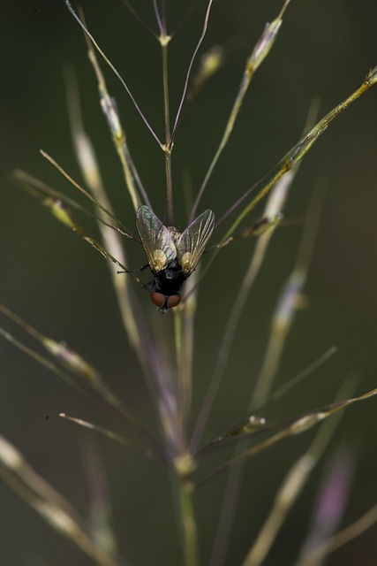 zona rural en España con reunión vecinal para organizar voluntariado
